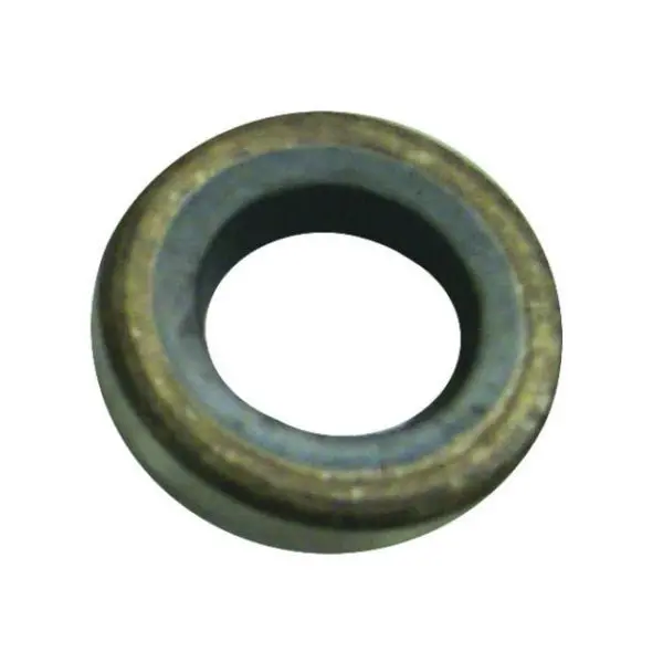 Sierra Oil Seal 1