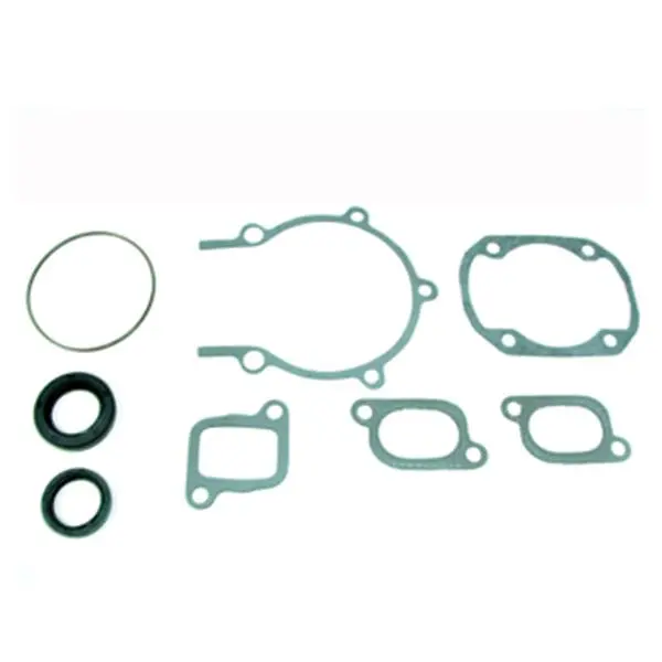 Spx Engine Gasket Sets & Oil Seals (09-711195) 1