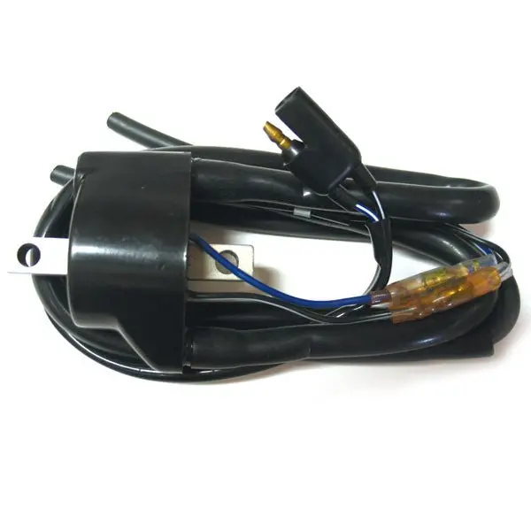 Spx Ignition Coil (01-143-120) 1