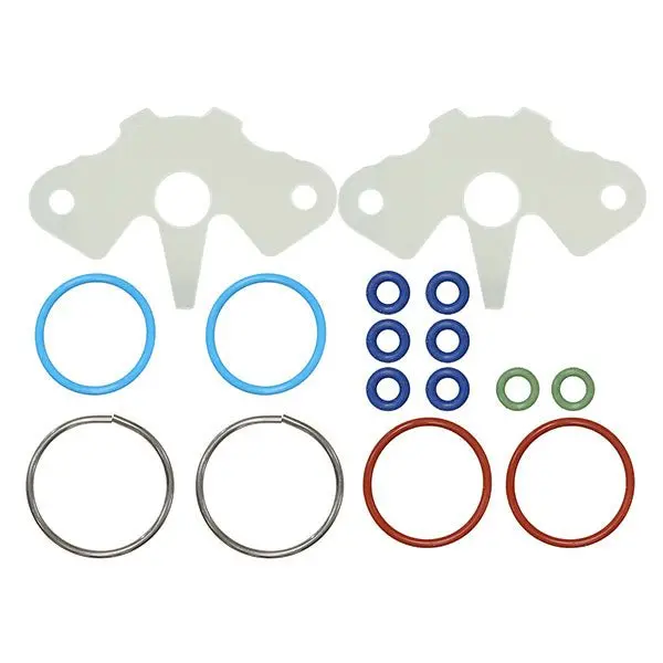 Spx Injector Seal Kit (Sm-07395) 1