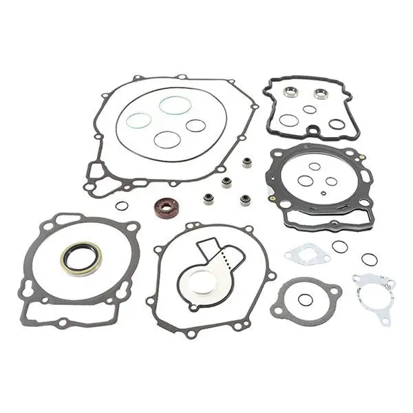 Vertex Complete Gasket Kit With Oil Seals 1