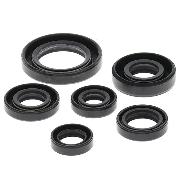 Vertex Oil Seal Kit 1