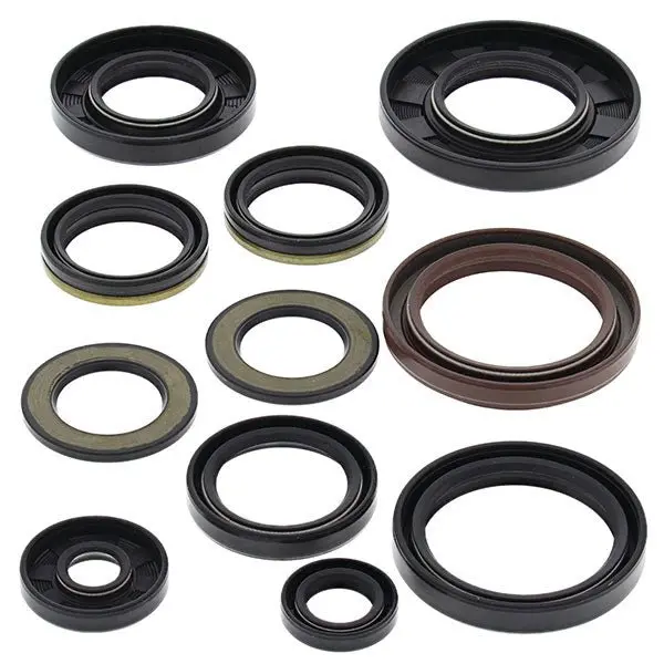 Vertex Oil Seal Kit 1