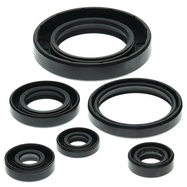 Vertex Oil Seal Kit 1