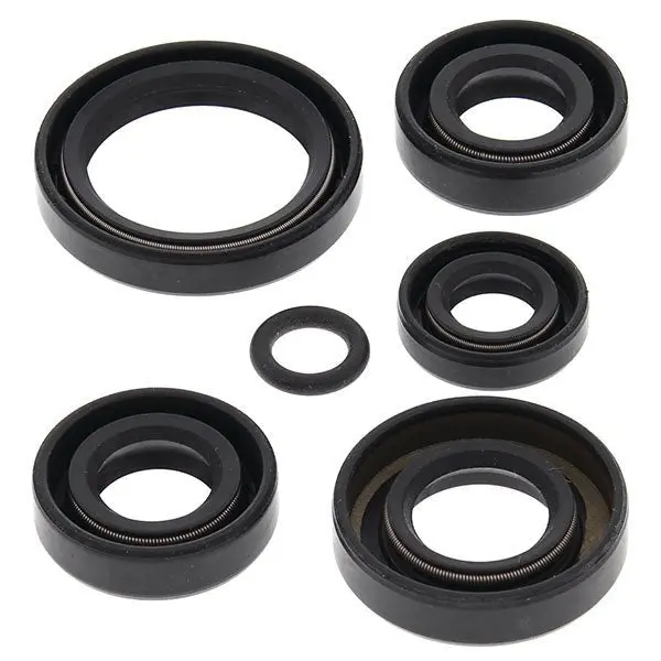 Vertex Oil Seal Kit 1