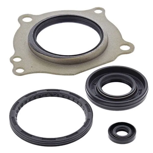 Vertex Oil Seal Kit 1