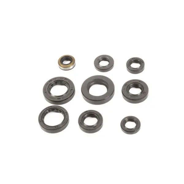 Vertex Oil Seal Sets 1