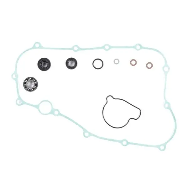 Vertex Water Pump Rebuild Kit 1