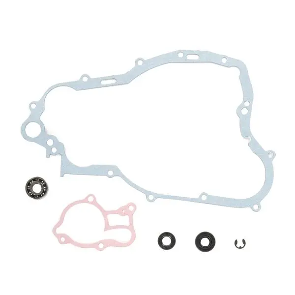 Vertex Water Pump Rebuild Kit 1