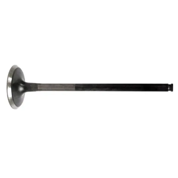 Wsm Exhaust Valve 1