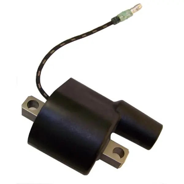 Wsm Ignition Coil 1
