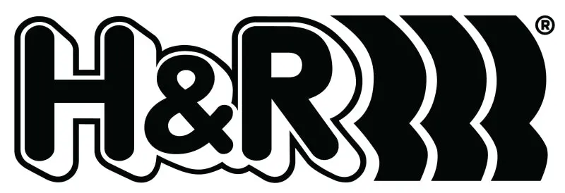 H&R Tapered-Head Wheel Bolts – M12X1.5, 38Mm Length, 17Mm Hex, Steel 2