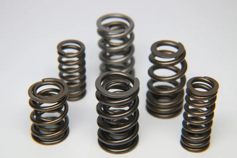 Ferrea Dual Valve Spring Kit For Bmw M50, S50, M52 & M54 Engines – 24-Piece Set 1