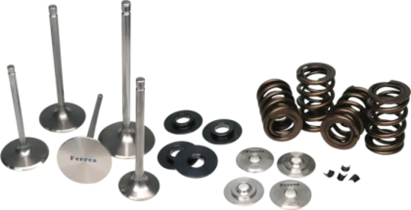 Ferrea Single Valve Spring Kit For 2010 Honda Crf250R 1